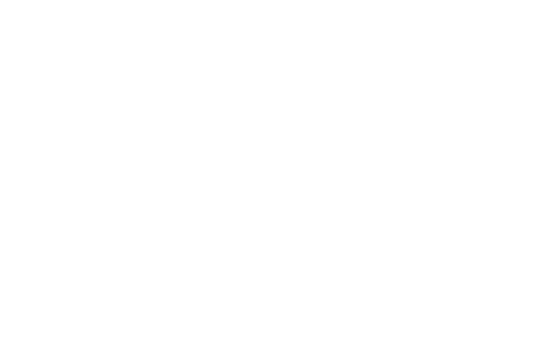 Logo Importa A.E
