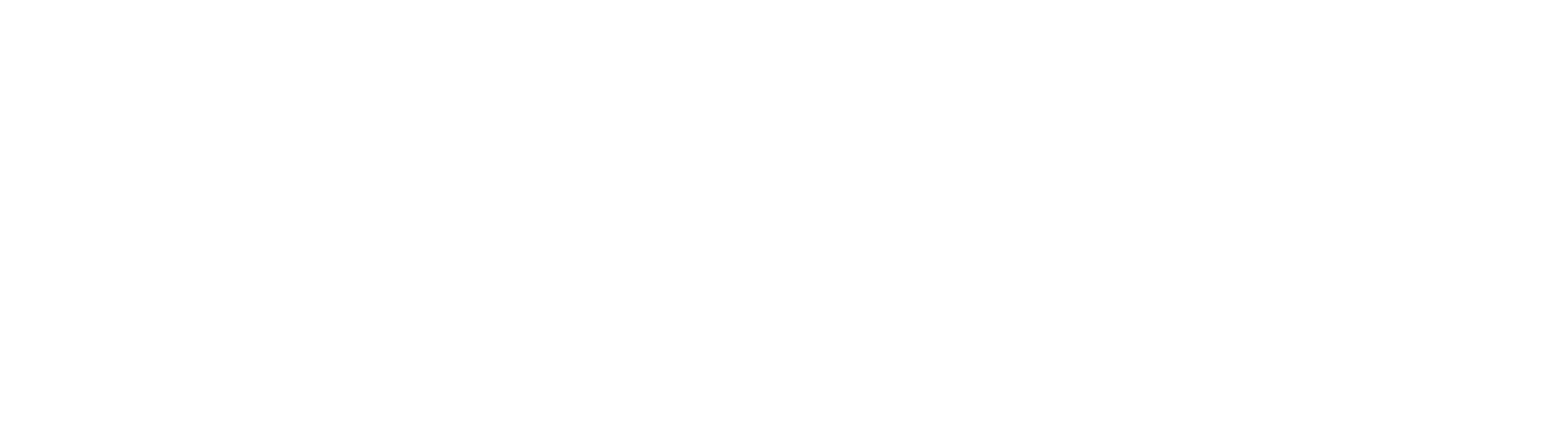 Nexus Digital Solutions